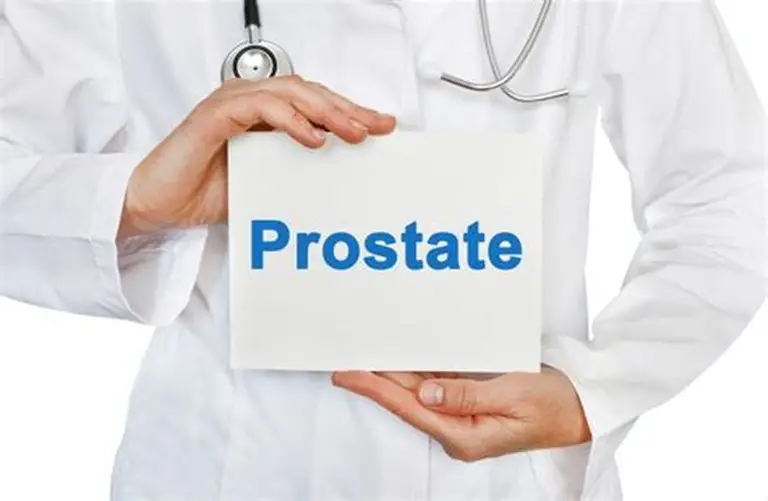 s_0B8800660D019355ABDE38A4AC933A9BCE916CF7673BF130B5F24791092947B4_1779515626149_prostate+health1.jpg