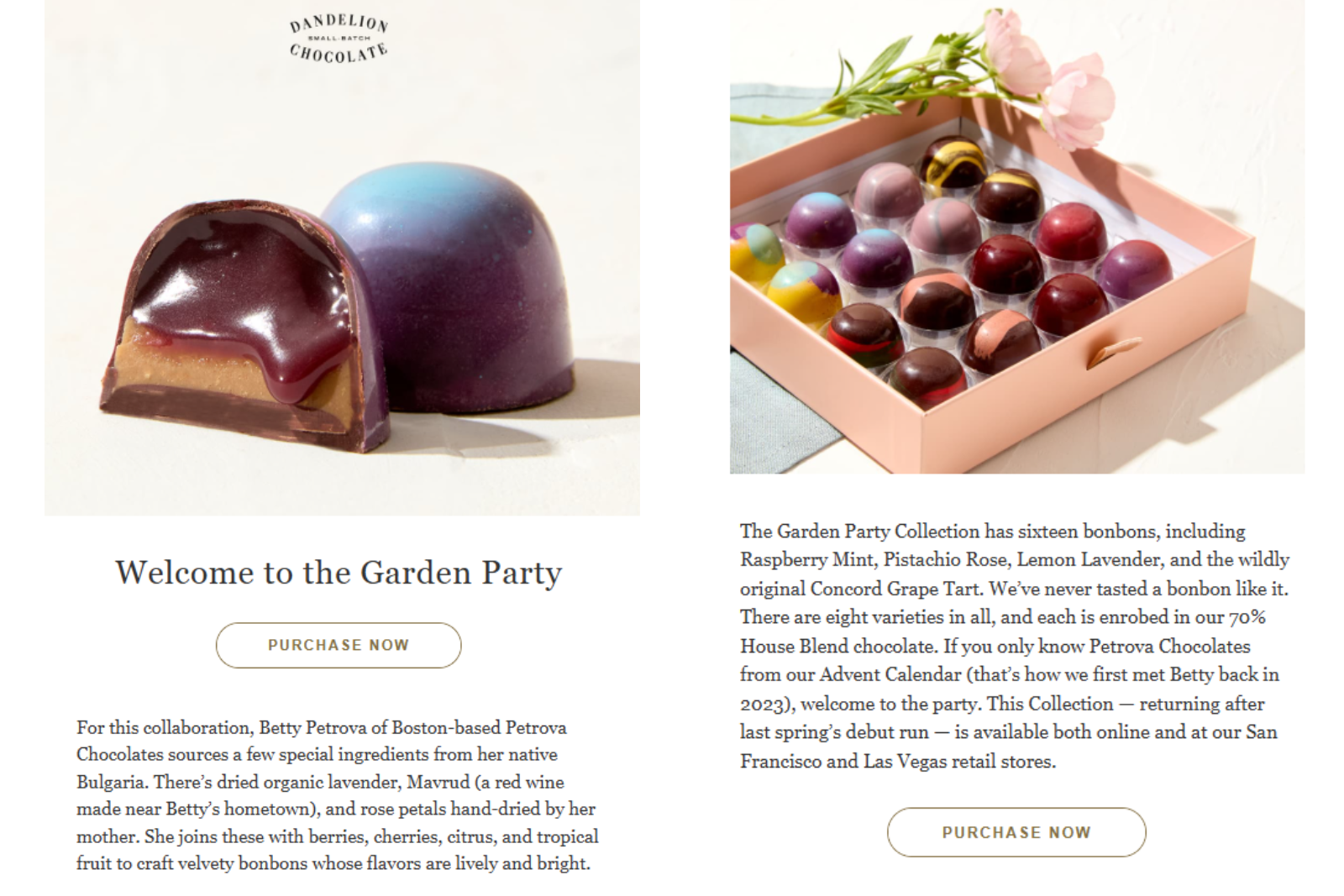 Dandelion Chocolate email marketing campaign