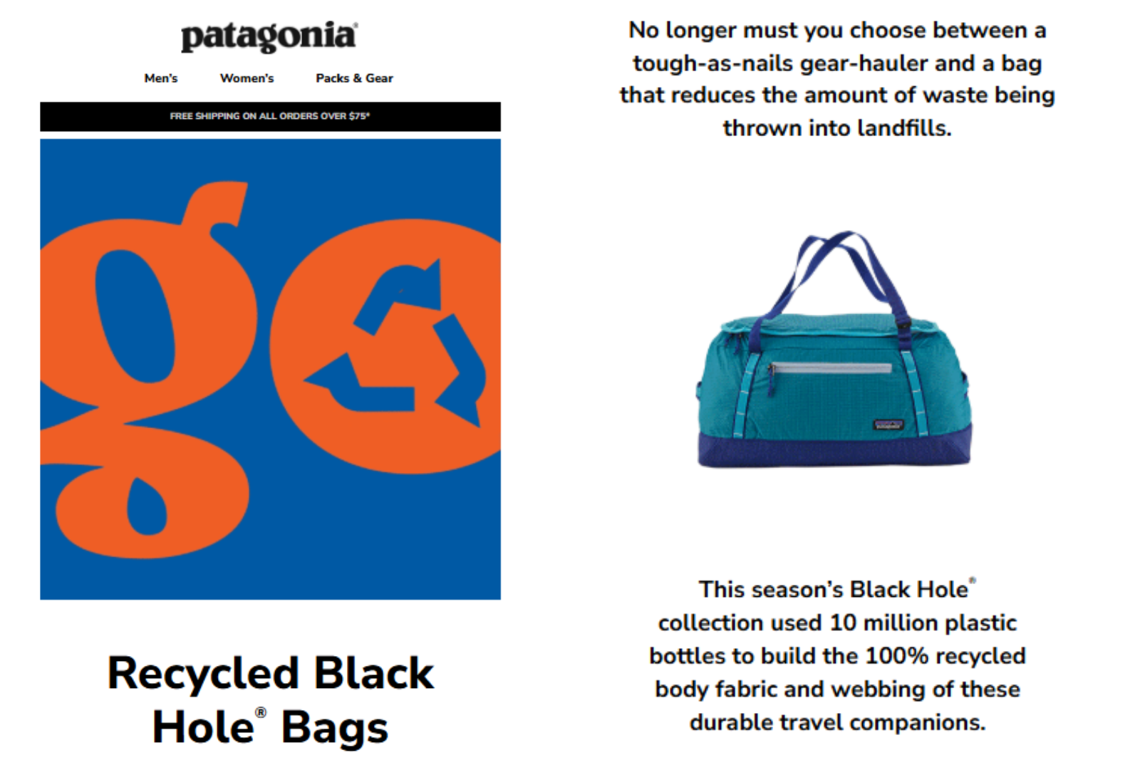 Patagonia email marketing campaign 