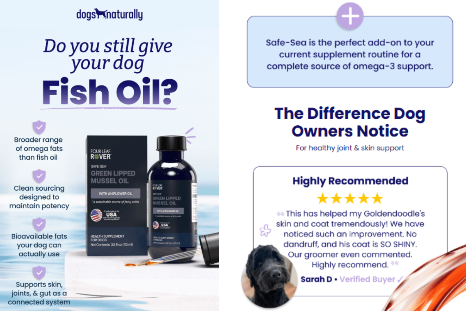 Dogs Naturally email marketing campaign