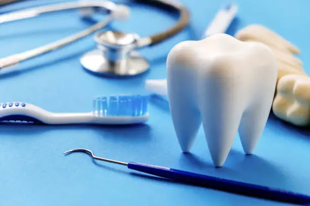 s_AA7409ABD78DFFDBB1B1BFB197E0830562E3B1749504EAA714939B836AEBA324_1779515799188_dental+health+1.jpg