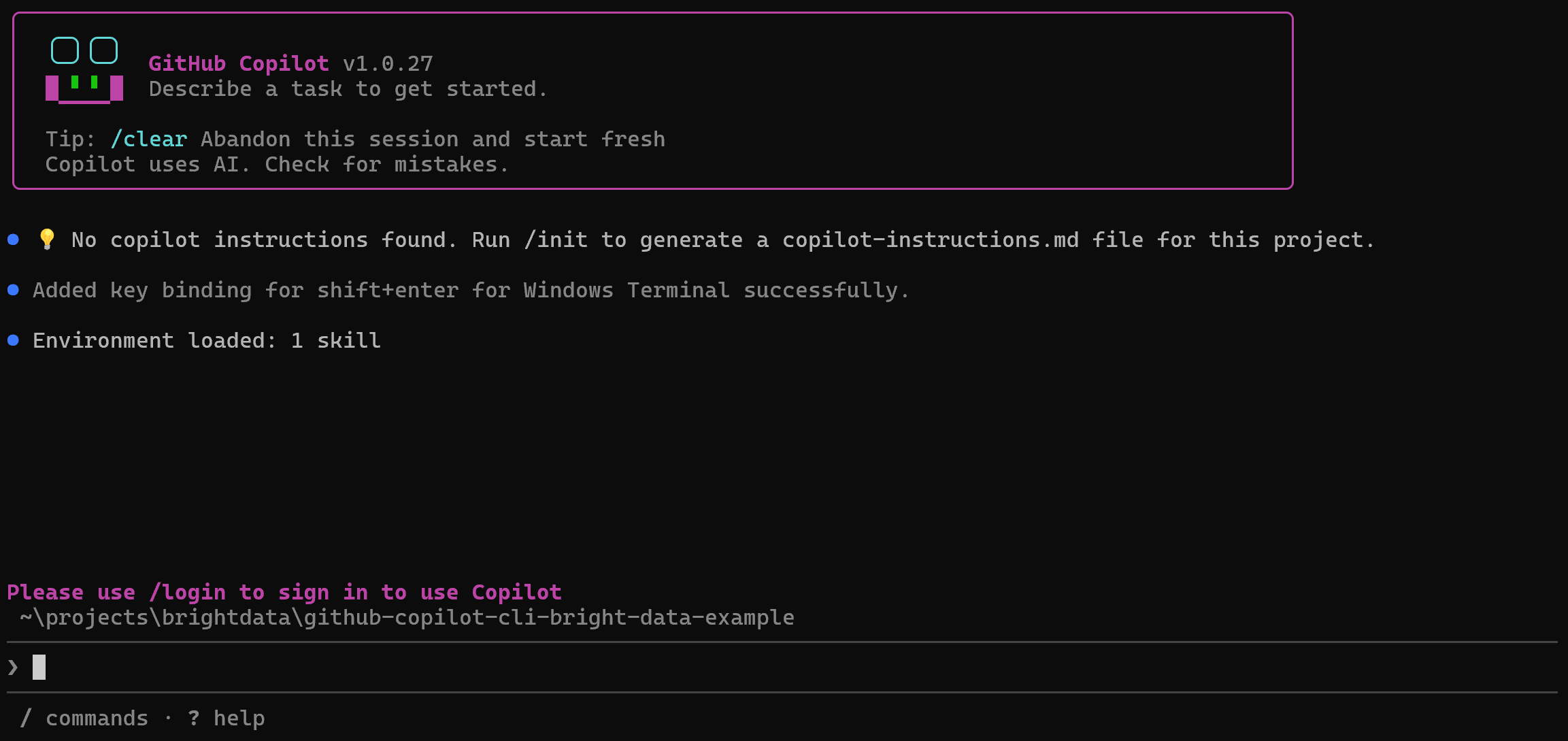 The GitHub Copilot CLI first view