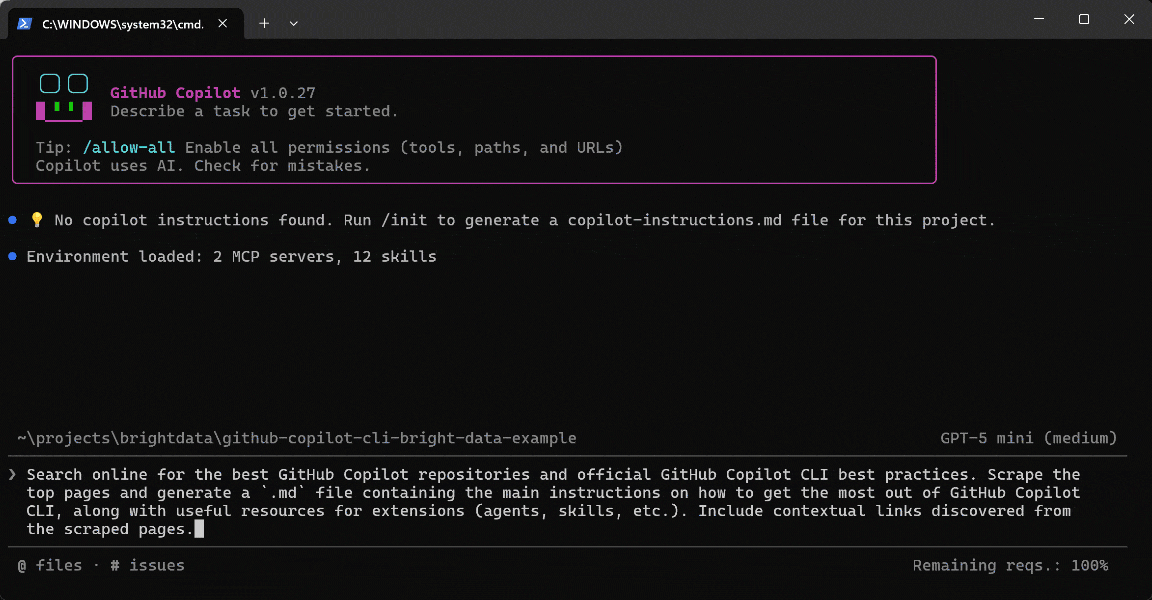 Prompt execution in GitHub Copilot CLI