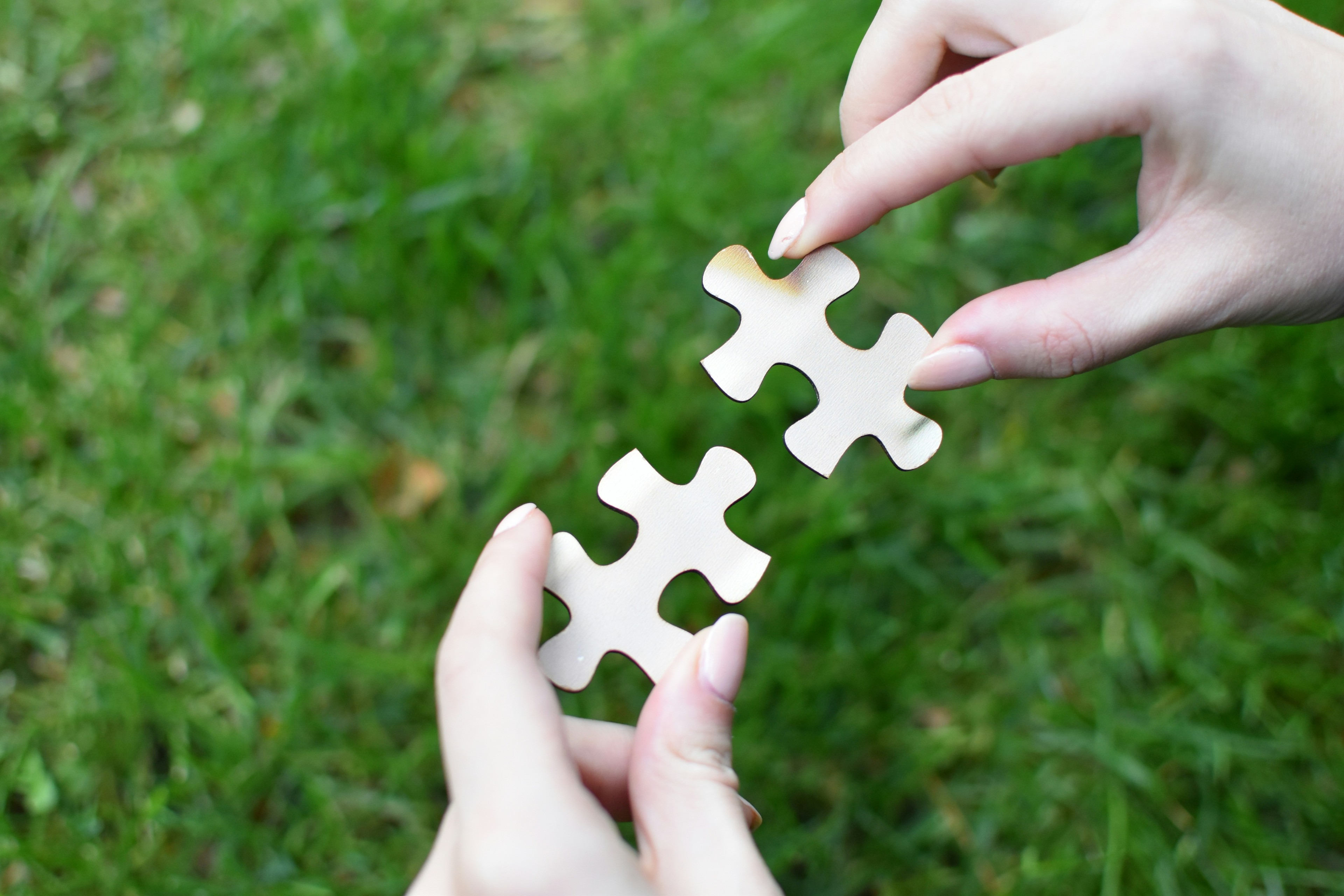 Wellbeing partnership