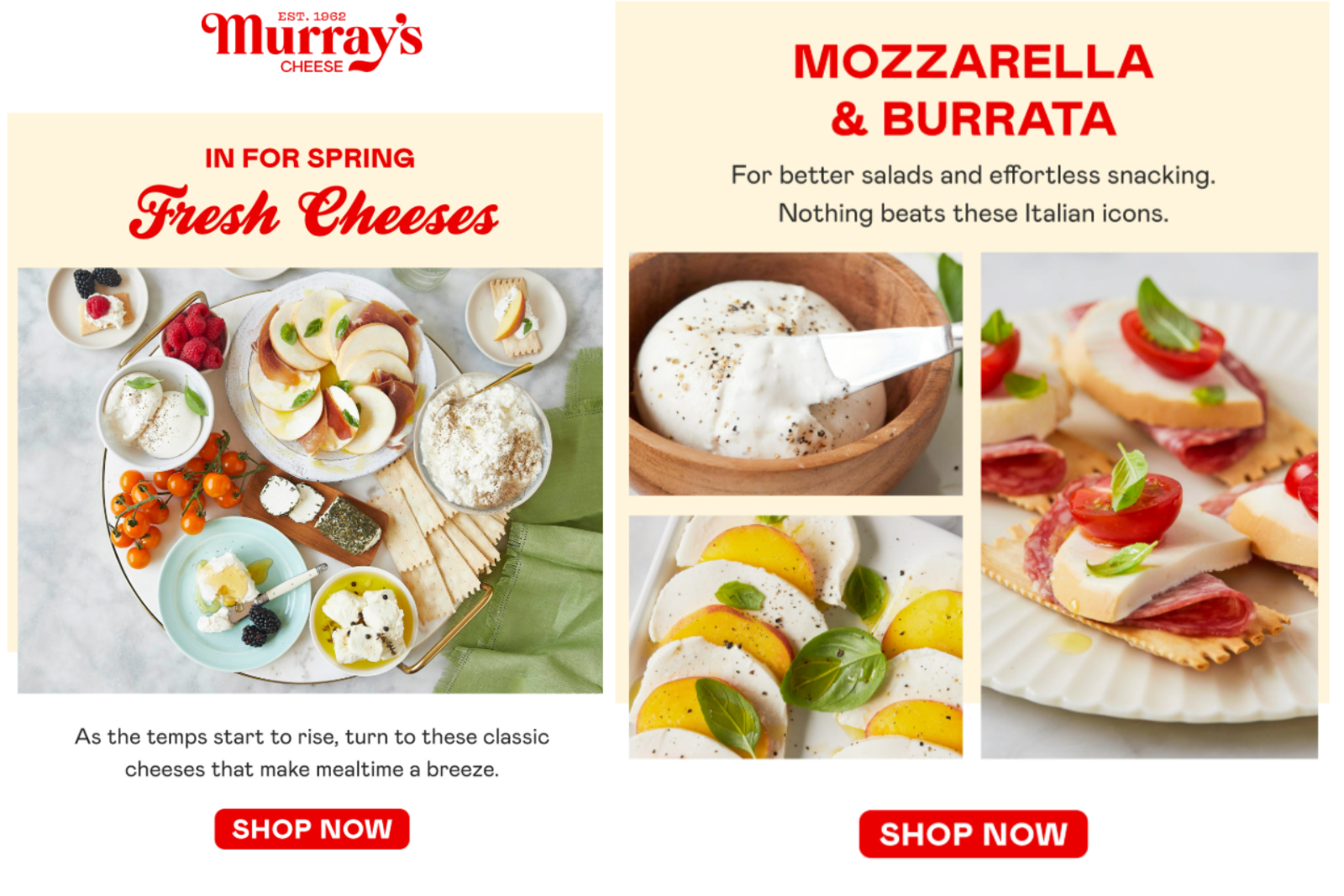 Murray’s cheese email marketing campaign
